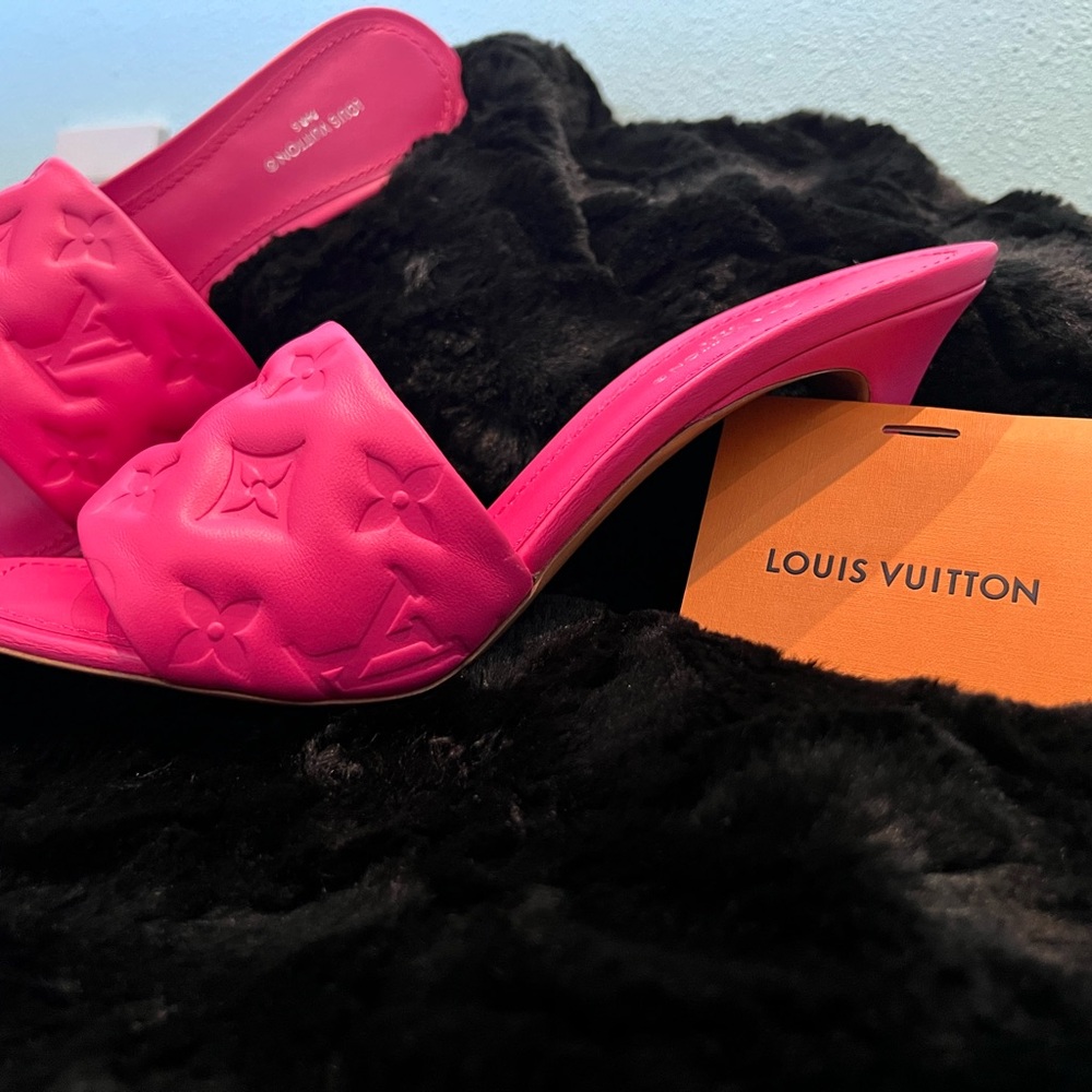 Louis Vuitton Pink Heels Elegant and Chic
